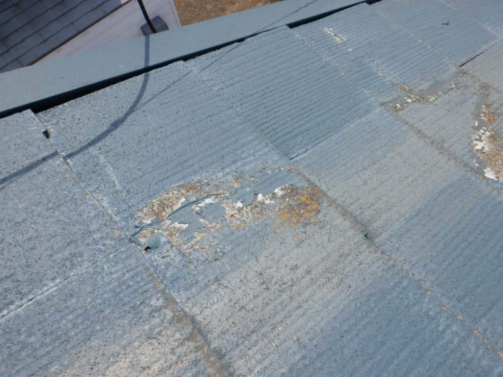 汚れが屋根の一部に見受けられる。